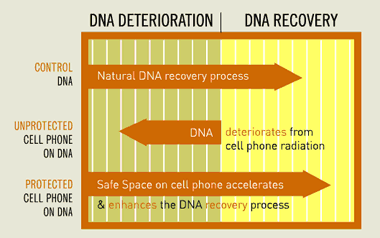 DNA recovery